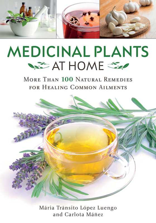 Medicinal Plants at Home by María Tránsito López Luengo