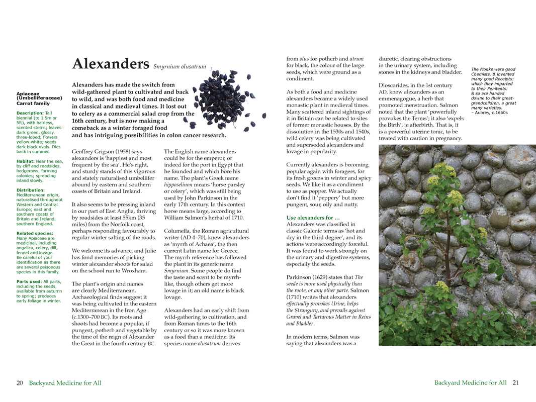 Backyard Medicine For All by Julie Bruton-Seal