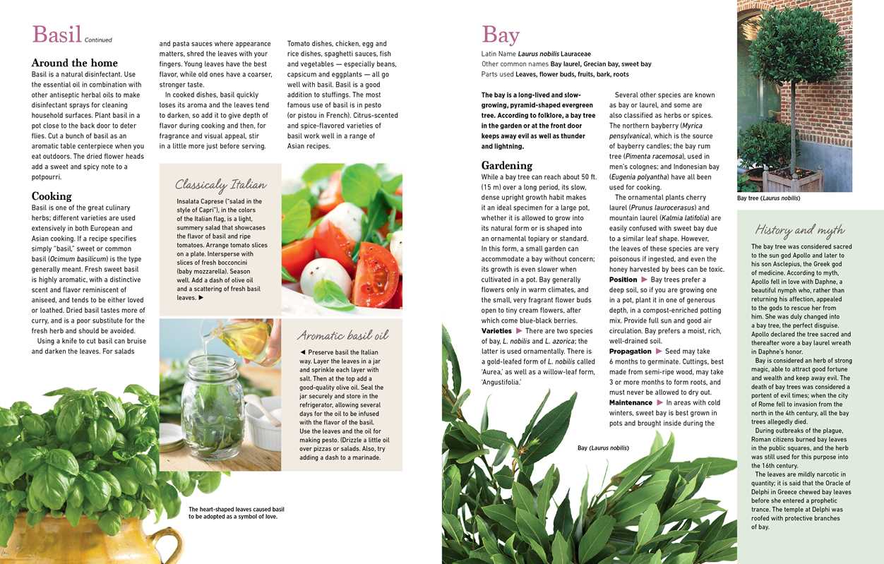 Reader's Digest The Essential Book of Herbs by
