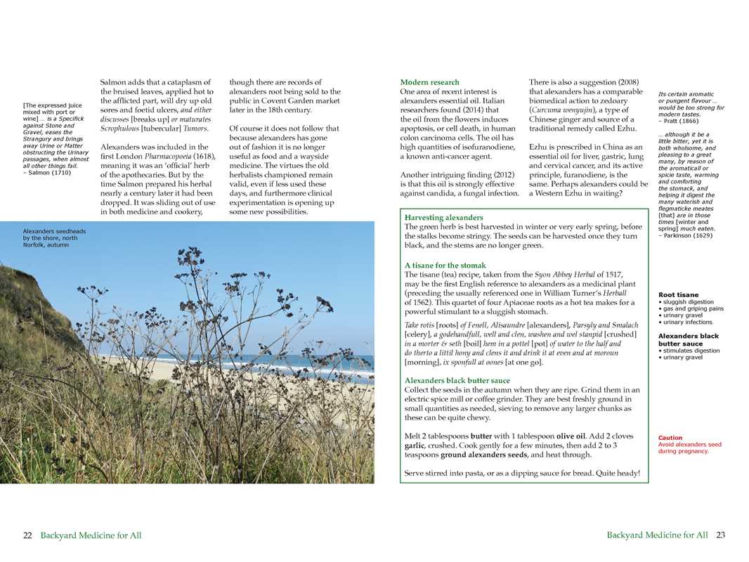 Backyard Medicine For All by Julie Bruton-Seal