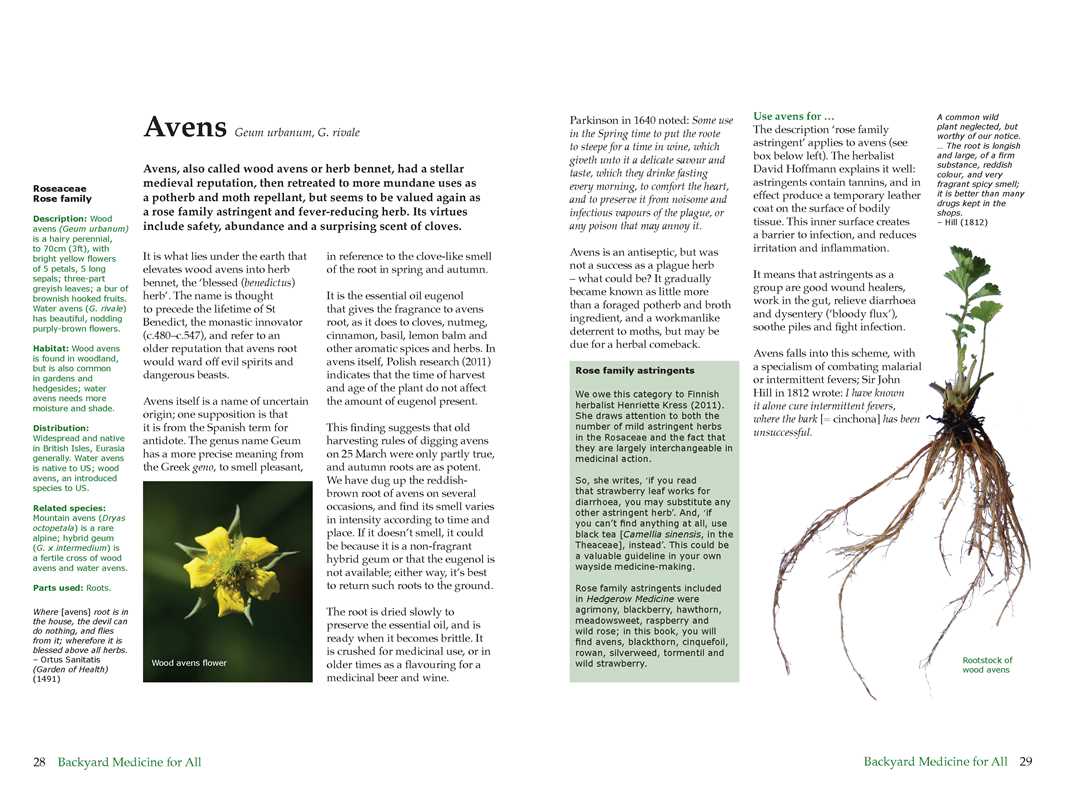 Backyard Medicine For All by Julie Bruton-Seal