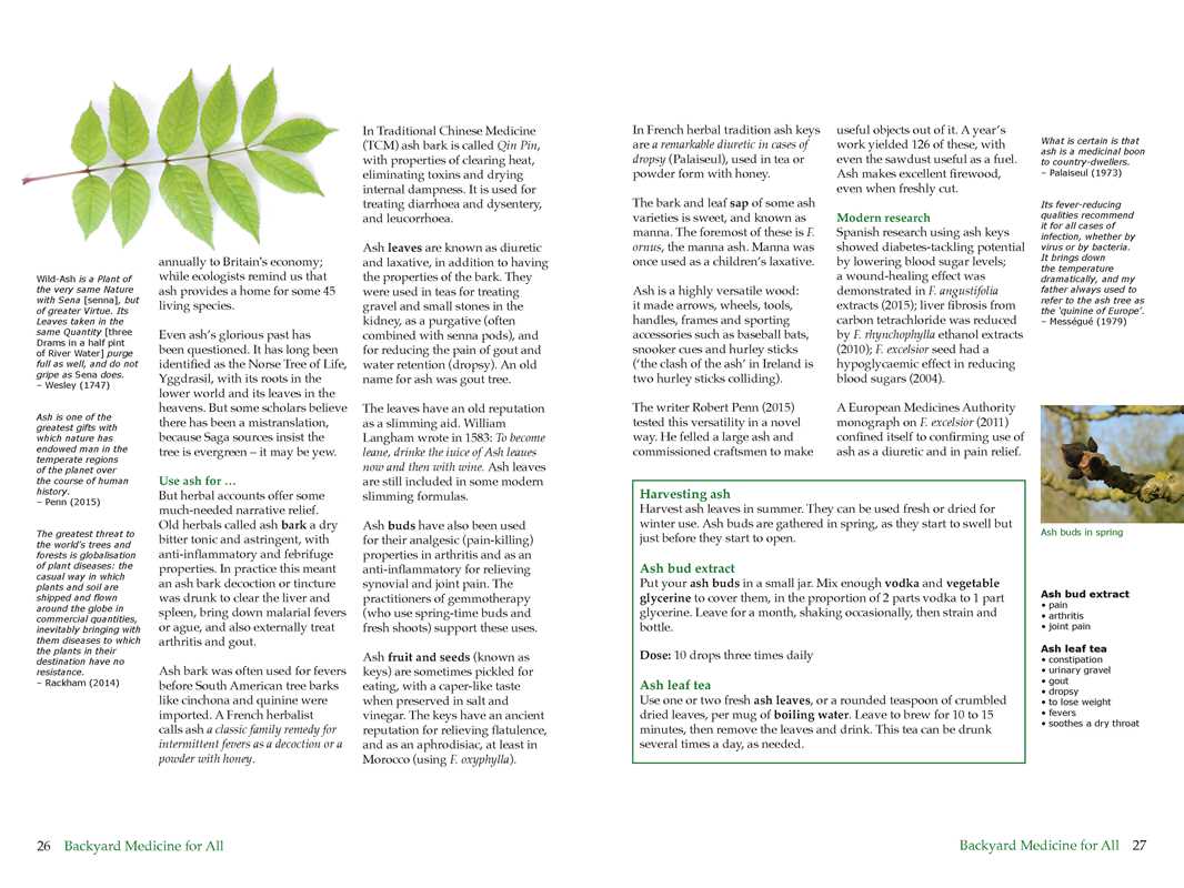 Backyard Medicine For All by Julie Bruton-Seal