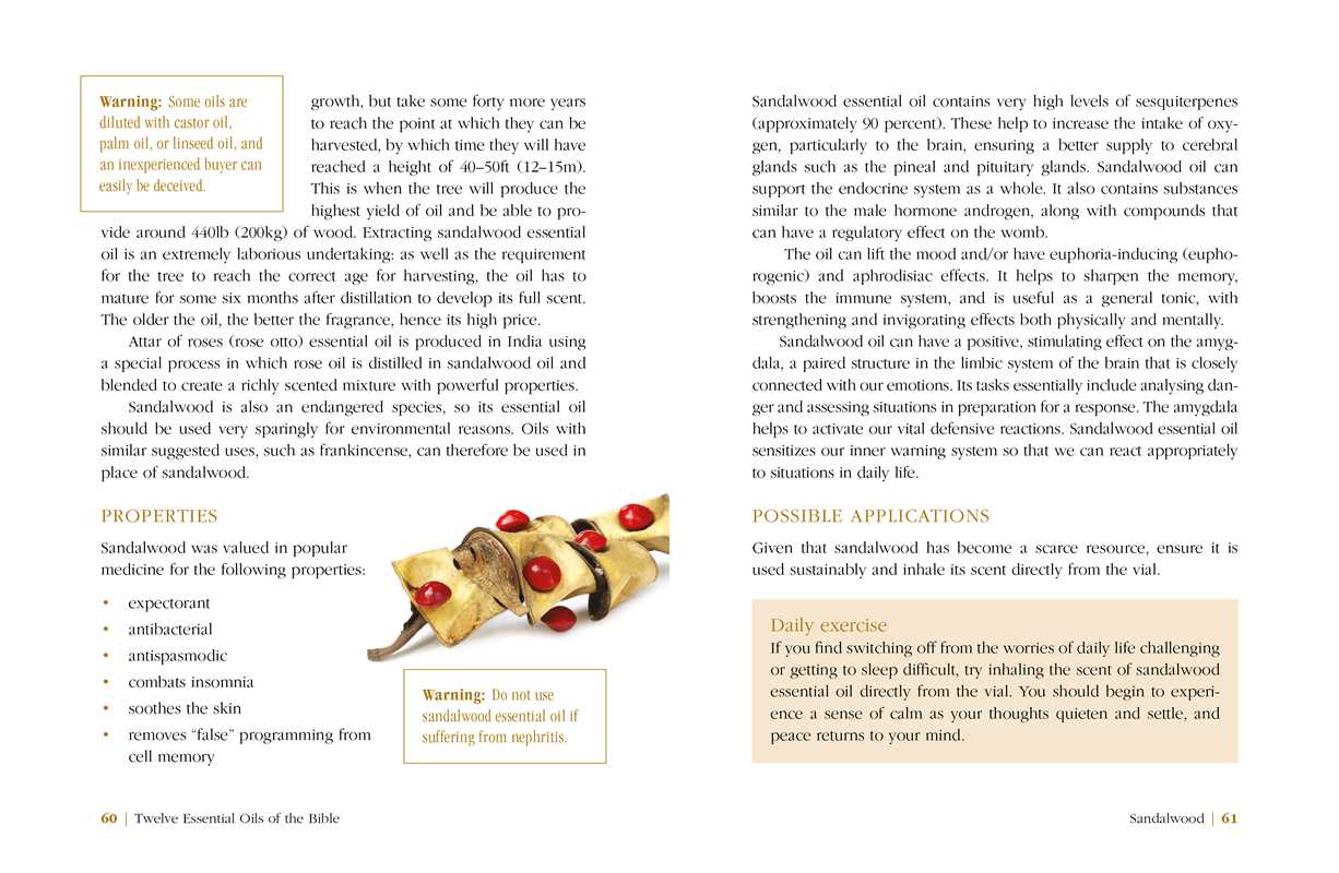 Twelve Essential Oils of the Bible by Karin Opitz-Kreher